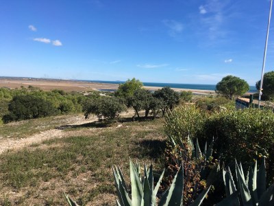 Holiday house Harms - Environment photo 16