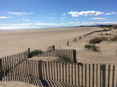 Holiday house Harms - Environment photo 17