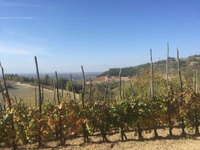 Cottage Studio in Bastia Mondovì with Pool and Winery - Environment photo 24