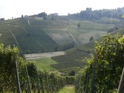 Cottage Studio in Bastia Mondovì with Pool and Winery - Environment photo 32