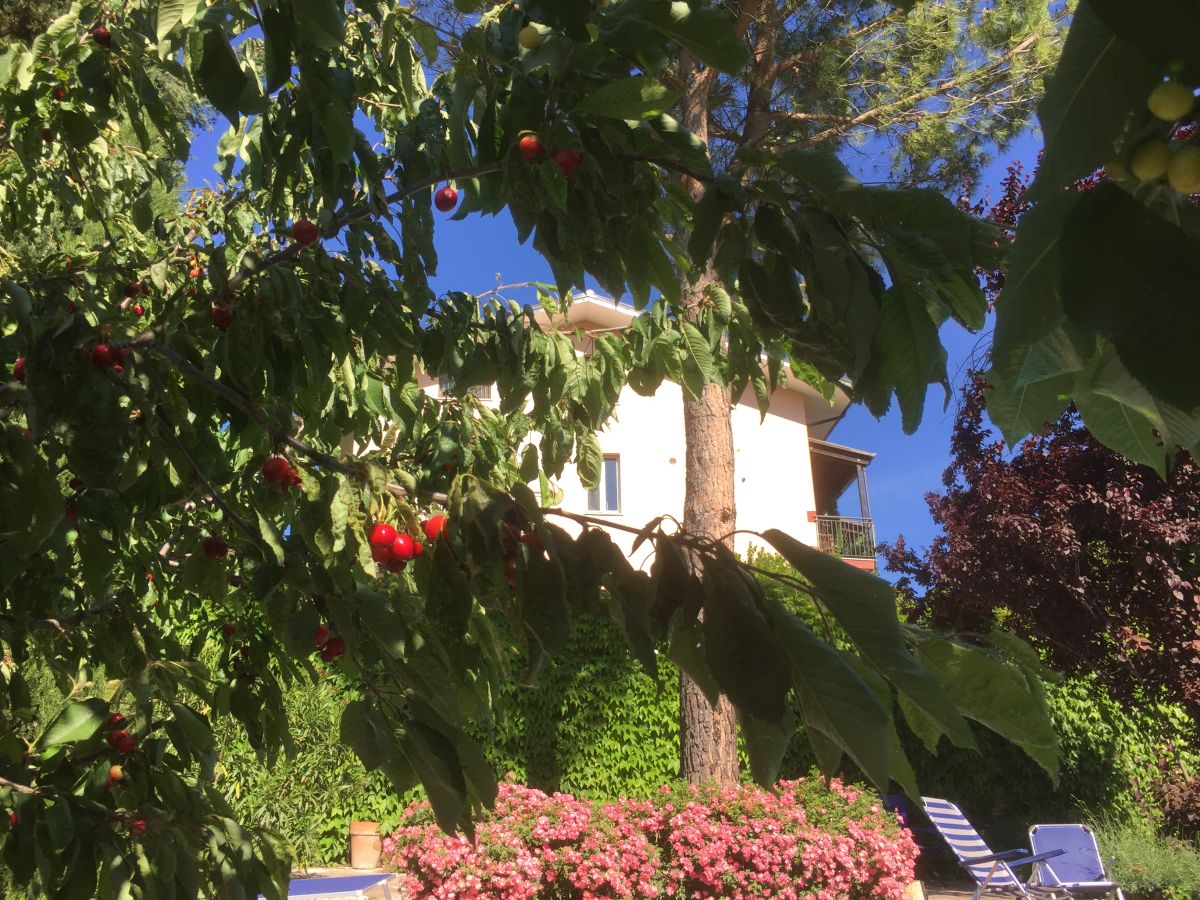 Holiday apartment Villa Paradiso - Girasole - Outdoor photo 4