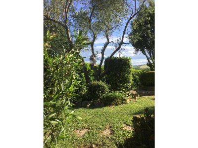 Holiday apartment Villa Paradiso - Girasole - Outdoor photo 3