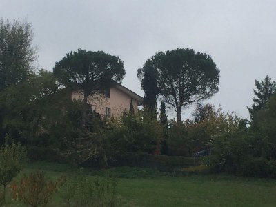 Holiday apartment Villa Paradiso - Girasole - Outdoor photo 13