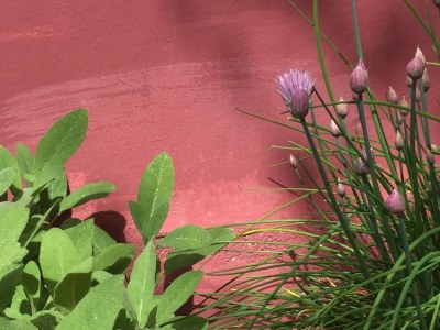 Holiday apartment Villa Paradiso - Girasole - Outdoor photo 19