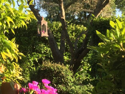 Holiday apartment Villa Paradiso - Girasole - Environment photo 32