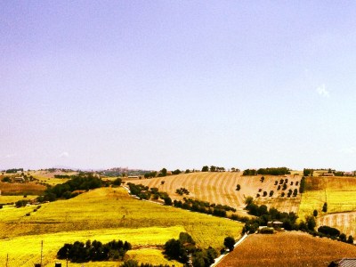 Holiday apartment Villa Paradiso - Girasole - Environment photo 33