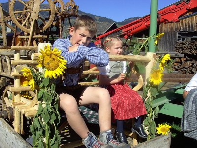 Holiday apartment 1 Pfaffenreitherhof - Environment photo 14