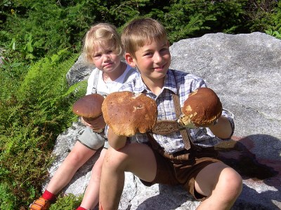 Holiday apartment 1 Pfaffenreitherhof - Environment photo 15