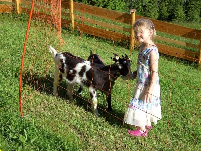 Holiday apartment 1 Pfaffenreitherhof - Environment photo 16