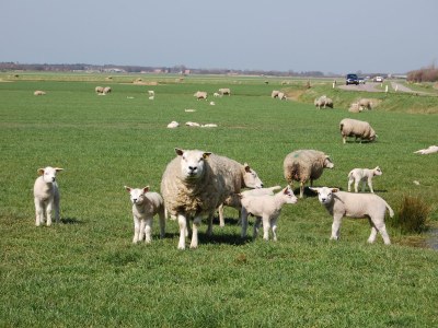 Holiday house Orchismient - Environment photo 20