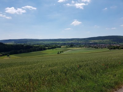 Holiday apartment Altes Weingut - Environment photo 16