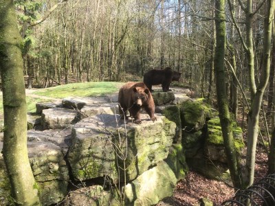 Holiday apartment Altes Weingut - Environment photo 17