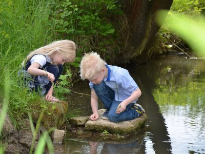 Holiday apartment Altes Weingut - Environment photo 20