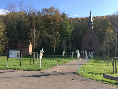 Holiday apartment Altes Weingut - Environment photo 22