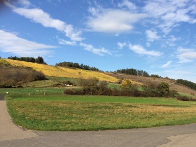 Holiday apartment Altes Weingut - Environment photo 23