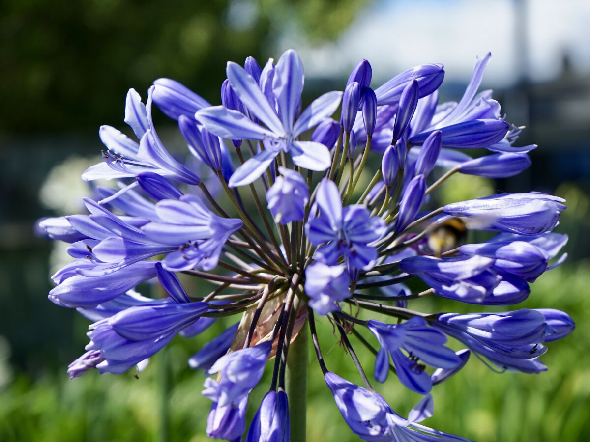 Holiday apartment Villa PertodoMar Superior Verde - Outdoor photo 5