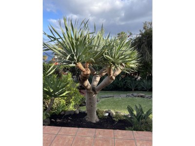 Holiday apartment Villa PertodoMar Superior Verde - Outdoor photo 9