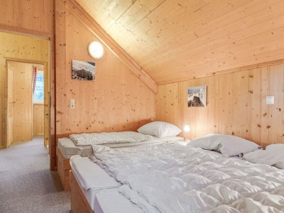 Chalet Chalet in Murau near Kreischberg Slopes - Features photo 21