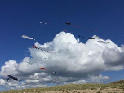 Holiday house Strandkoje Julianadorp - Environment photo 18