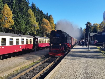 Holiday house Mountain forest lodge "Blickfang" - Environment photo 20
