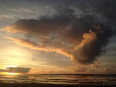 Holiday apartment Oystercatcher - Environment photo 24