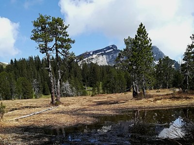 Holiday apartment Heimatgfüehl - Environment photo 14