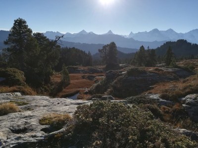 Holiday apartment Heimatgfüehl - Environment photo 15