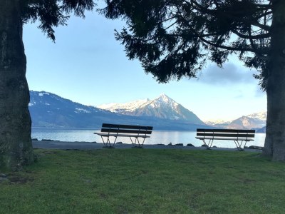 Holiday apartment Heimatgfüehl - Environment photo 17