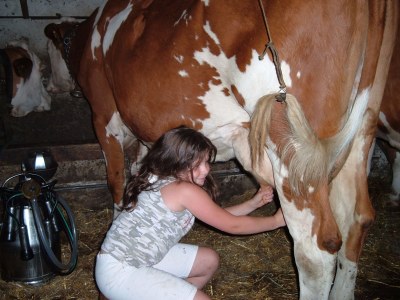 Farmhouse Holiday Cabin DonnerhÃ¤usl - Environment photo 17