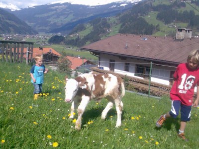 Farmhouse Holiday Cabin DonnerhÃ¤usl - Environment photo 19