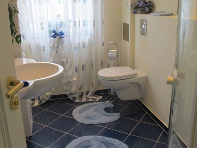 Holiday apartment Alpine Dream - Features photo 18