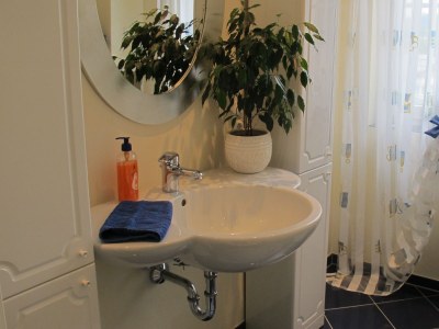 Holiday apartment Alpine Dream - Features photo 19