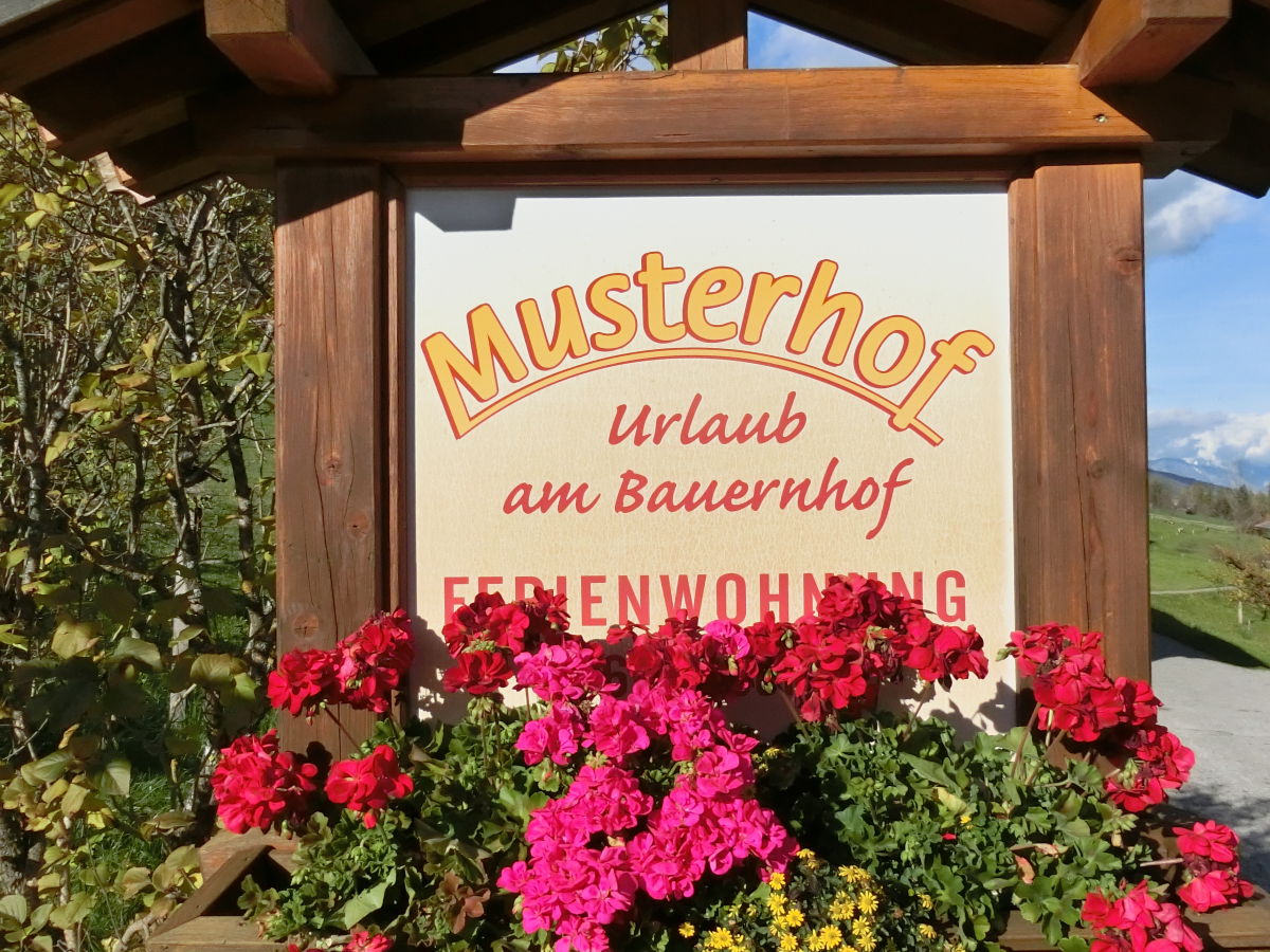 Holiday apartment Musterhof - Outdoor photo 2