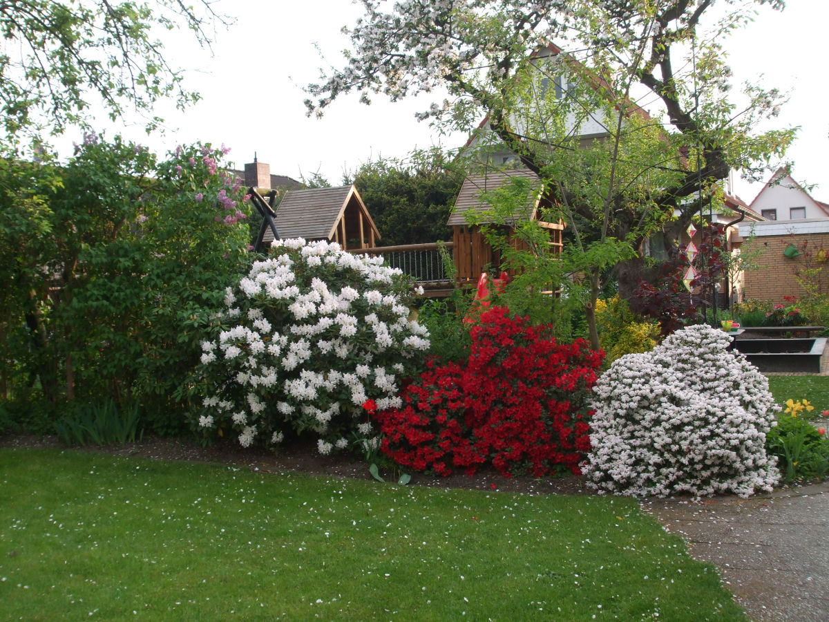 Holiday house at Meyer's bei Meyer's in the Lüneburg Heath - Outdoor photo 3