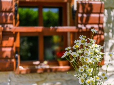 Holiday house Takala - Outdoor photo 12