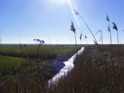 Holiday apartment - No title - - Environment photo 28