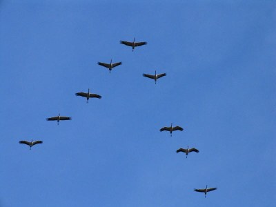 Holiday apartment - No title - - Environment photo 29