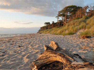 Holiday apartment - No title - - Environment photo 19