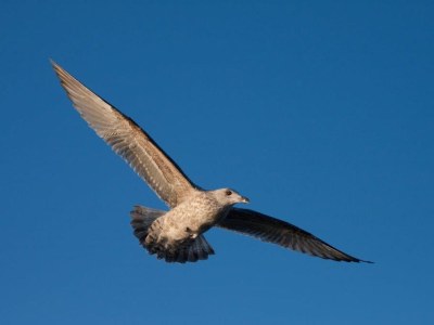 Holiday apartment - No title - - Environment photo 22