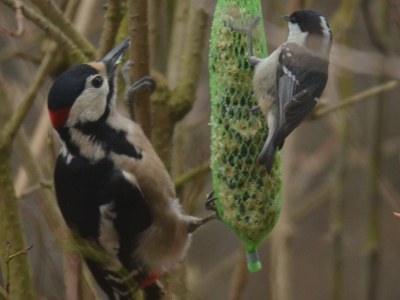 Holiday apartment - No title - - Environment photo 42