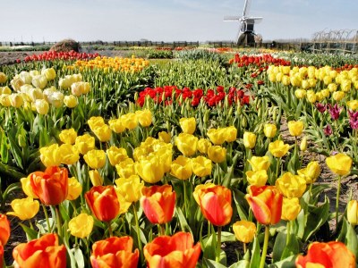 Holiday house Plevier Comfort - Environment photo 14