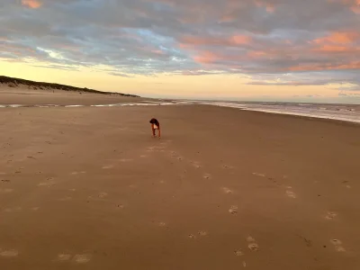 Holiday house Am Texelwald - Pelikaanweg 55 - Environment photo 21