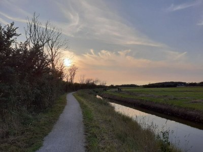 Holiday house Am Texelwald - Pelikaanweg 55 - Environment photo 23