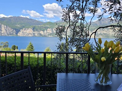 Apartment Olivo in Malcesine - Apartment