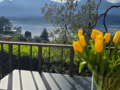 Apartment Olivo - Features photo 11