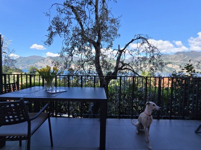 Apartment Olivo - Features photo 14