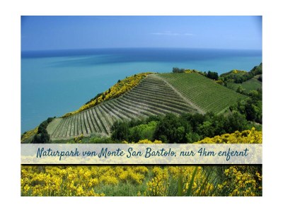 Holiday house Ferienwohnungen La Rosa dei Venti*** - Features photo 24