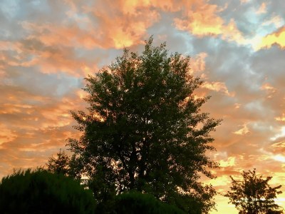 Holiday house Heilklimatischer Luftkurort - Outdoor photo 4