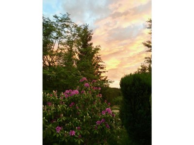 Holiday house Heilklimatischer Luftkurort - Outdoor photo 7