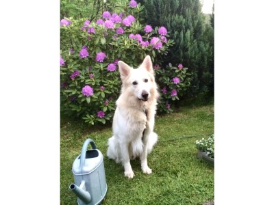 Holiday house Heilklimatischer Luftkurort - Outdoor photo 8